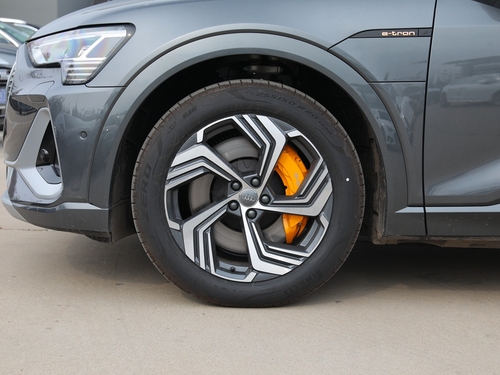 2021款 奥迪e-tron 50 quattro 臻选型