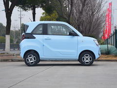 2022款 风光MINIEV 实尚款 舒适型