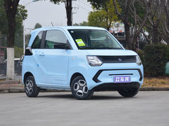 2022款 风光MINIEV 实尚款 舒适型