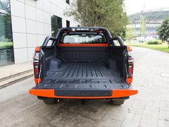 2021款  2.0T火炮版GW4C20B