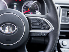 2021款  2.0T火炮版GW4C20B