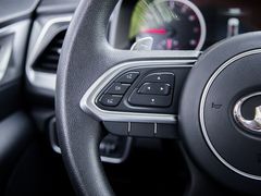 2021款  2.0T火炮版GW4C20B