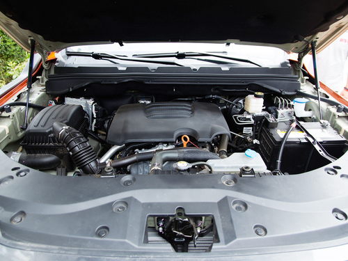 2021款  2.0T火炮版GW4C20B