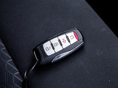 2021款  2.0T火炮版GW4C20B