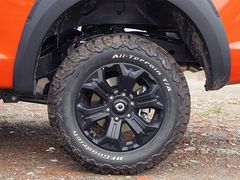 2021款  2.0T火炮版GW4C20B