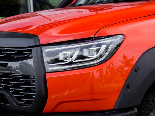 2021款  2.0T火炮版GW4C20B