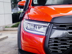 2021款  2.0T火炮版GW4C20B