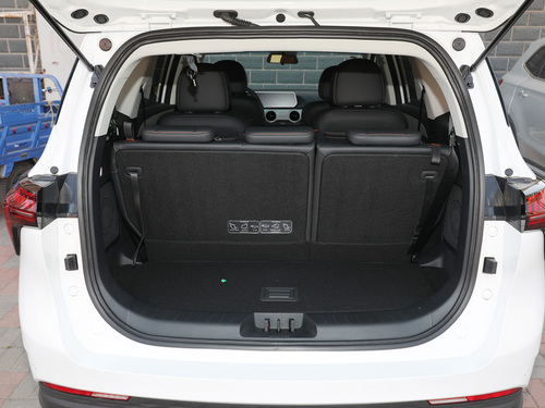 2022款 风行·游艇 追风版