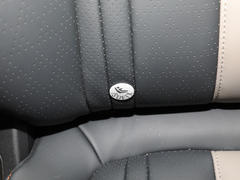 2022款 风行·游艇 追风版