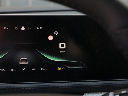 2022款 风行·游艇 追风版