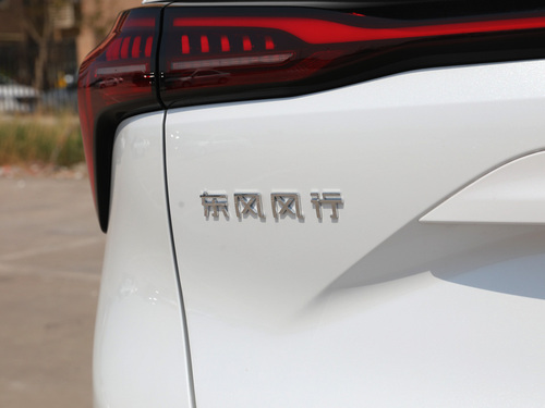 2022款 风行·游艇 追风版