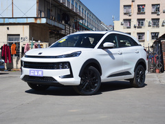 2022款 思皓QX 300T DCT探月版图片_高清图