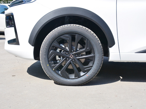 2022款 思皓QX 300T DCT探月版