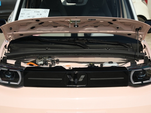 2022款 宏光MINI EV 马卡龙臻享款 三元锂