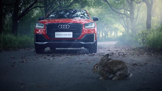 奥迪Q2L产品力视频-兔子篇