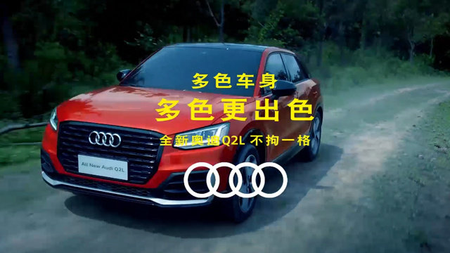 多色车身 多色更出色 全新奥迪Q2L不拘一格