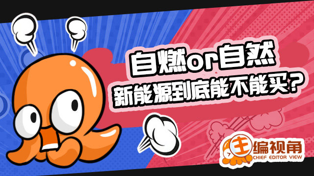 自燃or自然 新能源到底能不能买？