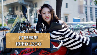 摩托车中的性价比之王——铃木DL250